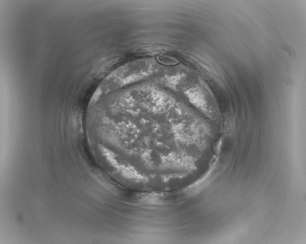 X0000115440182200911251253