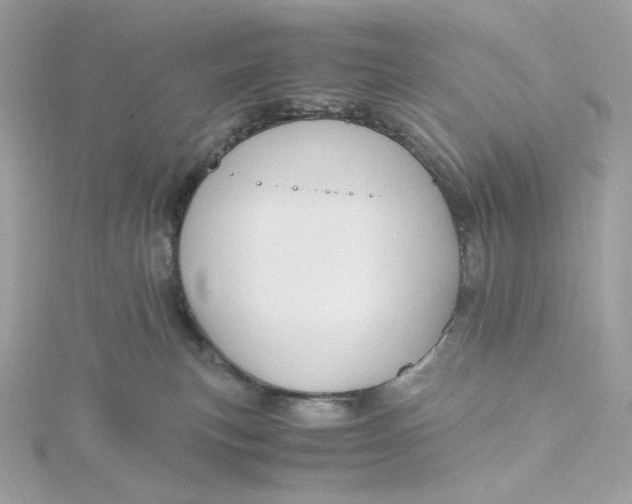 X0000115440183200911251253