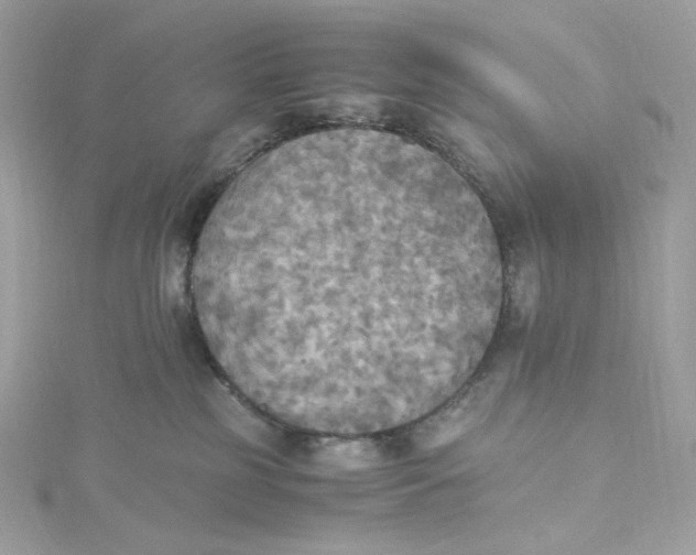 X0000115440185200911251253