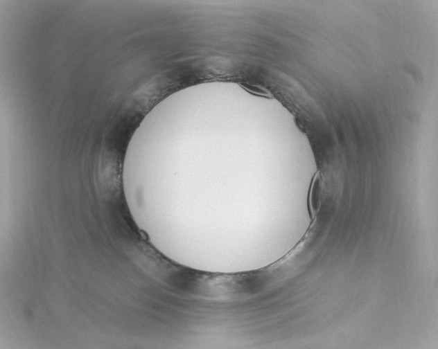 X0000115440186200911251253