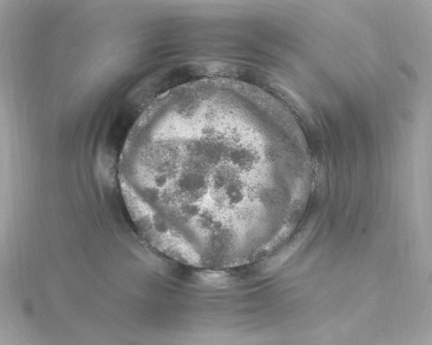 X0000115440189200911251254