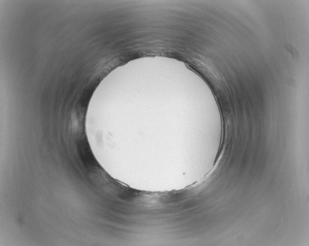 X0000115440190200911251254