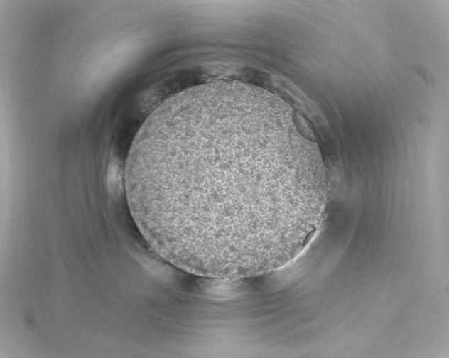 X0000115440191200911251254