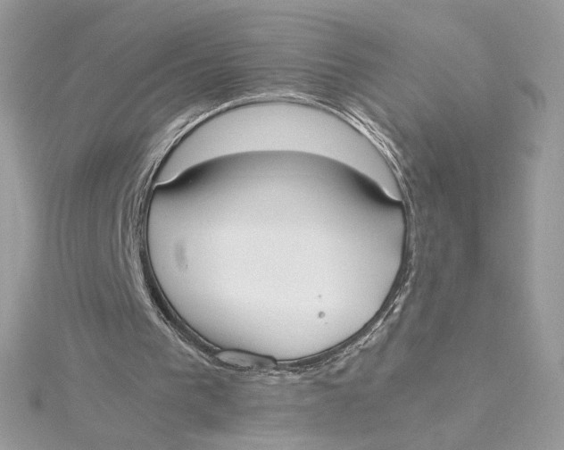 X0000115440193200911251253