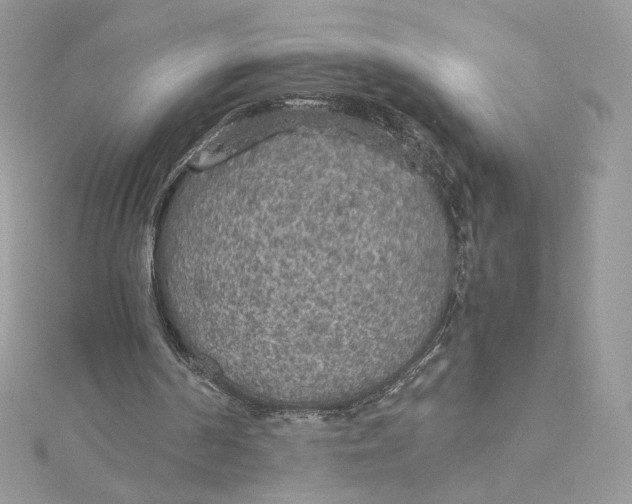 X0000115440194200911251253