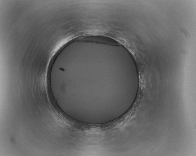 X0000115440196200911251253