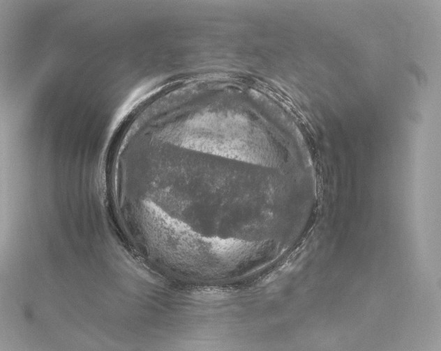 X0000115440198200911251253