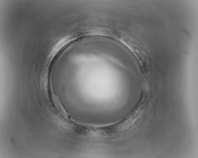 X0000115440199200911251253