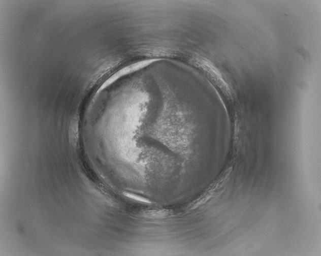 X0000115440202200911251253