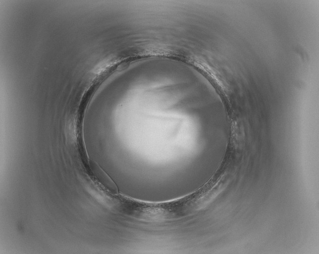 X0000115440203200911251253