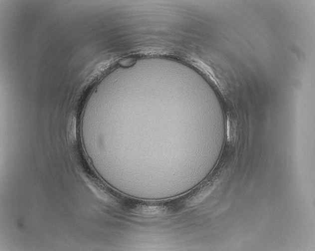 X0000115440205200911251253