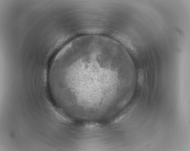 X0000115440206200911251253