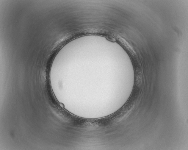 X0000115440207200911251253