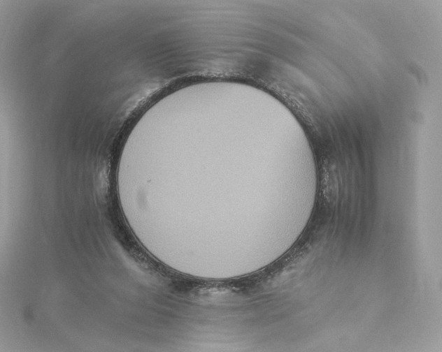 X0000115440208200911251253