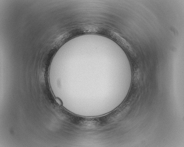 X0000115440209200911251253