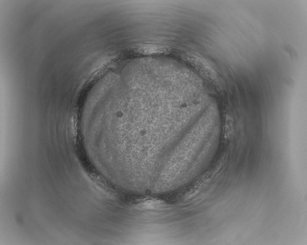 X0000115440210200911251253