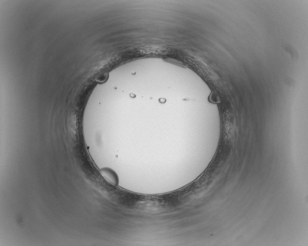 X0000115440211200911251253