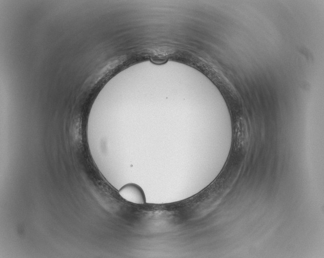 X0000115440212200911251253