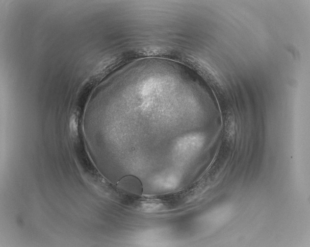 X0000115440214200911251253