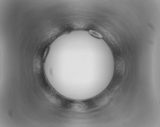 X0000115440215200911251253