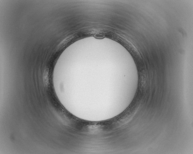 X0000115440216200911251252