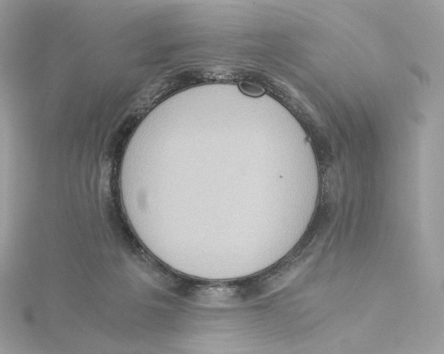 X0000115440217200911251252