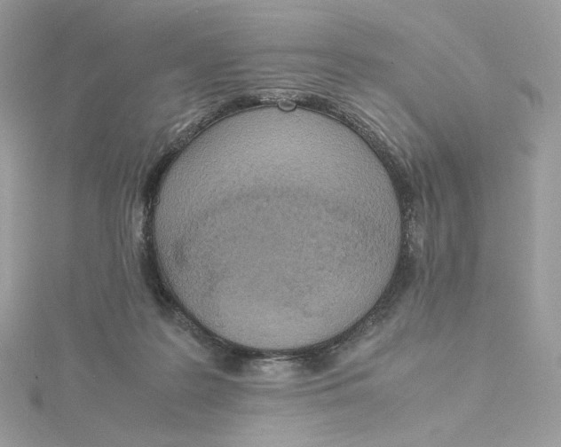 X0000115440219200911251252