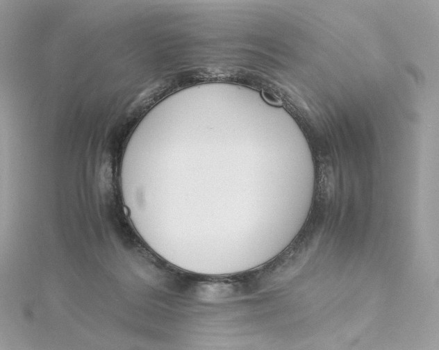 X0000115440220200911251252