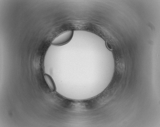 X0000115440221200911251252