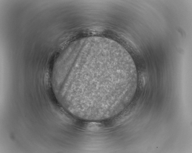 X0000115440222200911251252