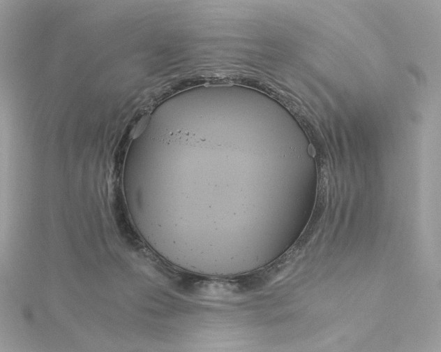 X0000115440223200911251252