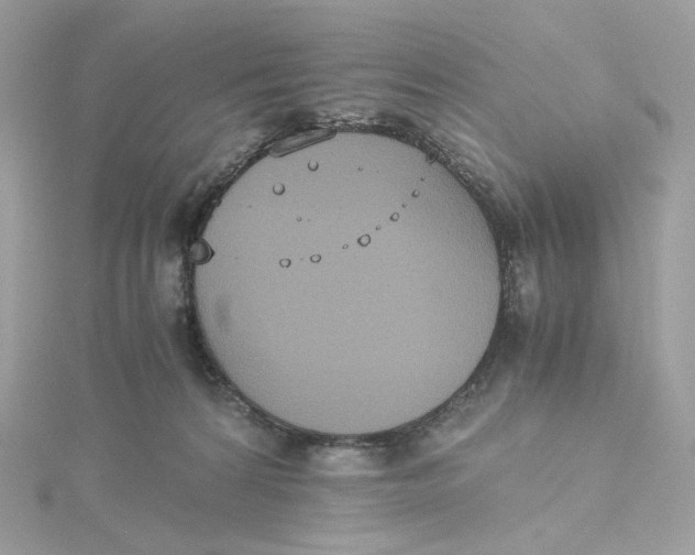 X0000115440224200911251252