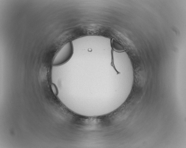 X0000115440225200911251252