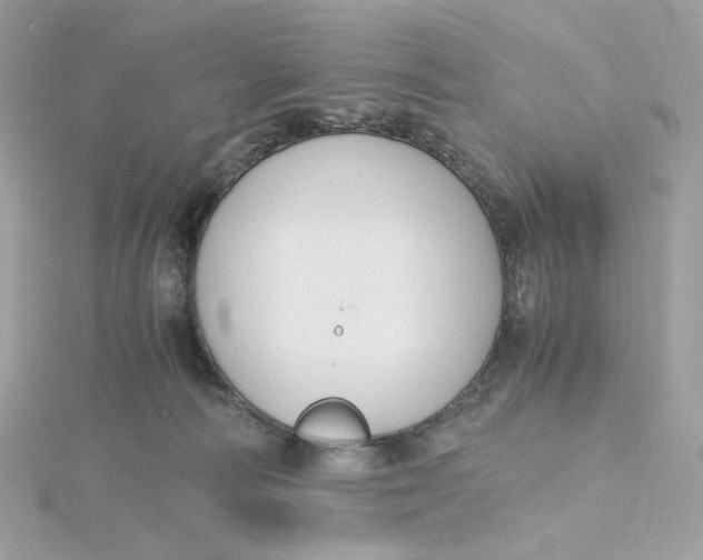 X0000115440226200911251252