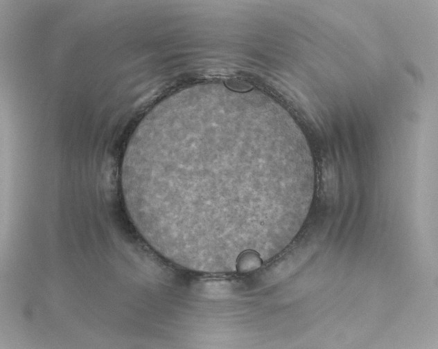 X0000115440228200911251252