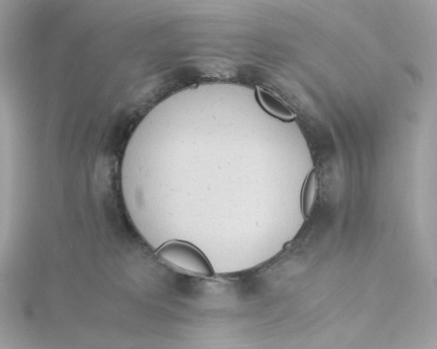 X0000115440229200911251252