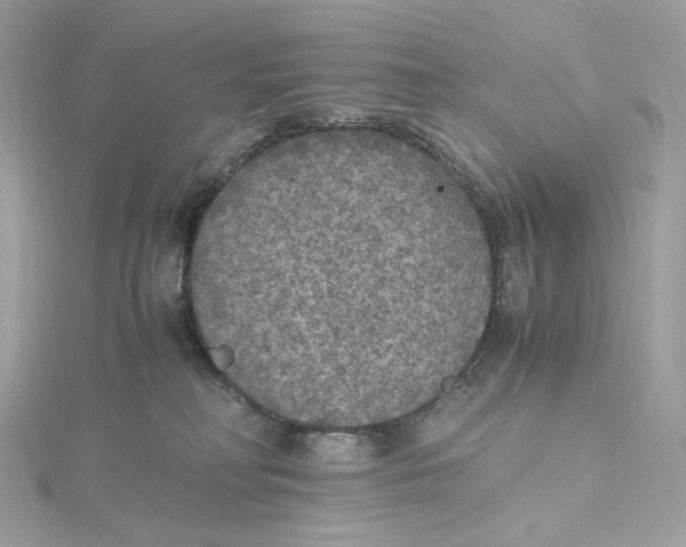 X0000115440230200911251252