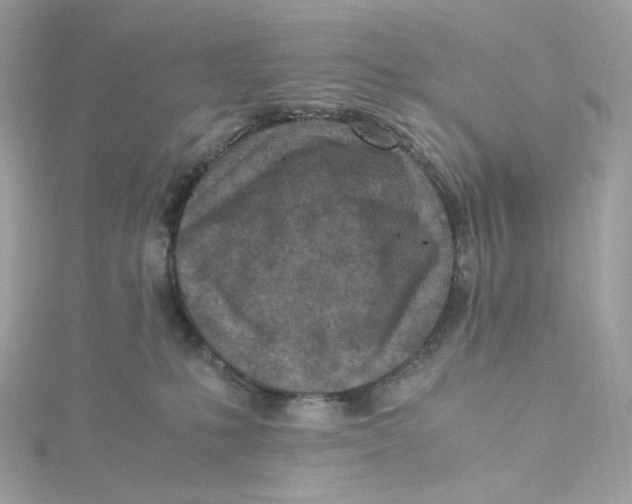 X0000115440231200911251252