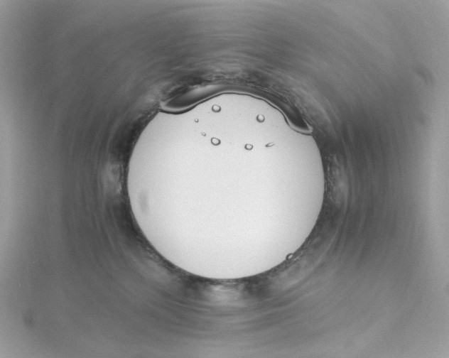 X0000115440232200911251252