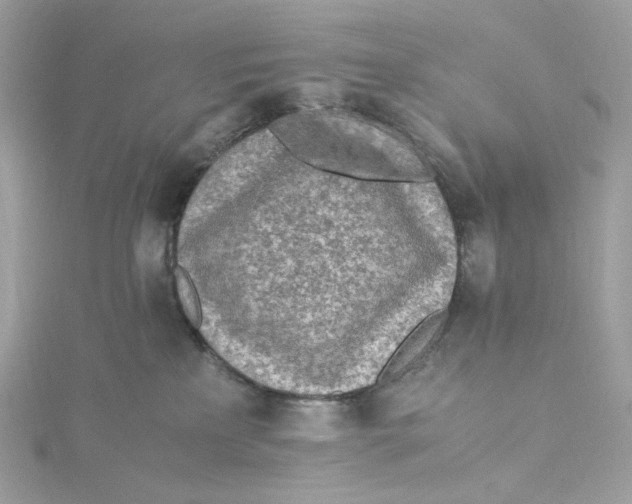 X0000115440233200911251252