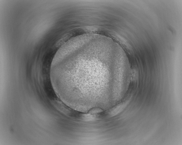 X0000115440238200911251252