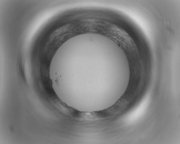 X0000115440239200911251252