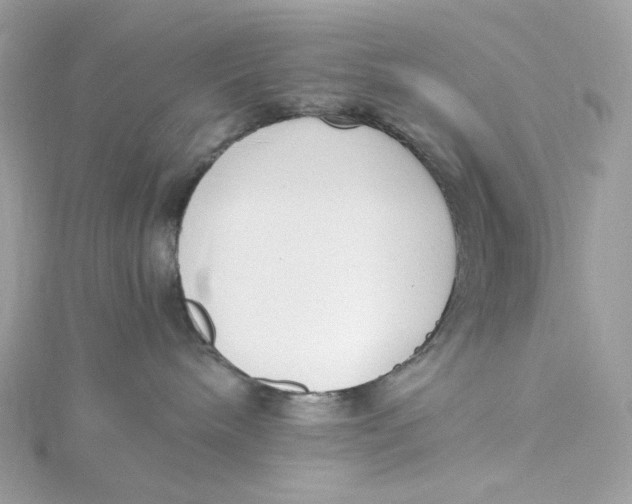 X0000115440240200911251252