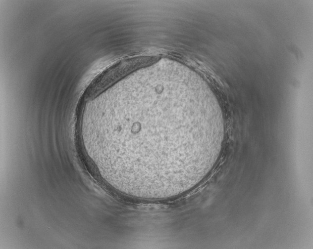 X0000115440242200911251252