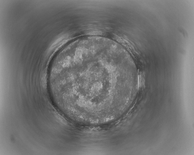 X0000115440243200911251252