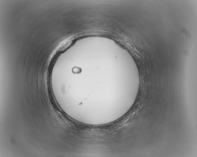 X0000115440244200911251252