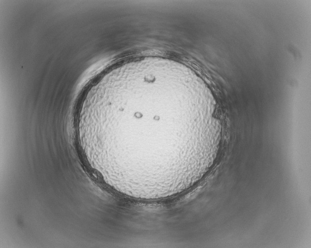 X0000115440245200911251252