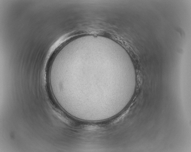 X0000115440246200911251252