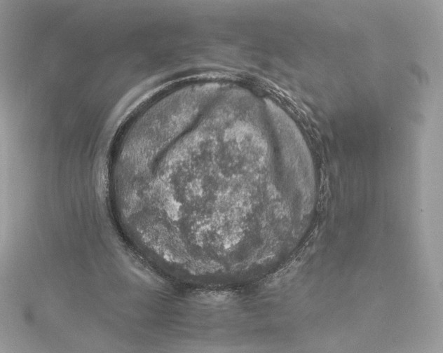 X0000115440247200911251252