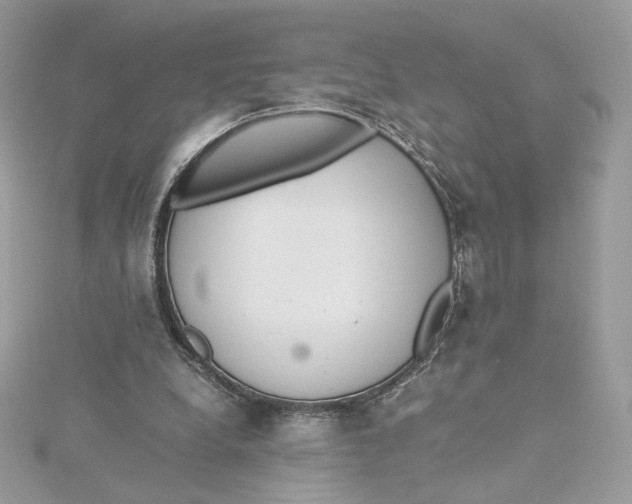 X0000115440248200911251252